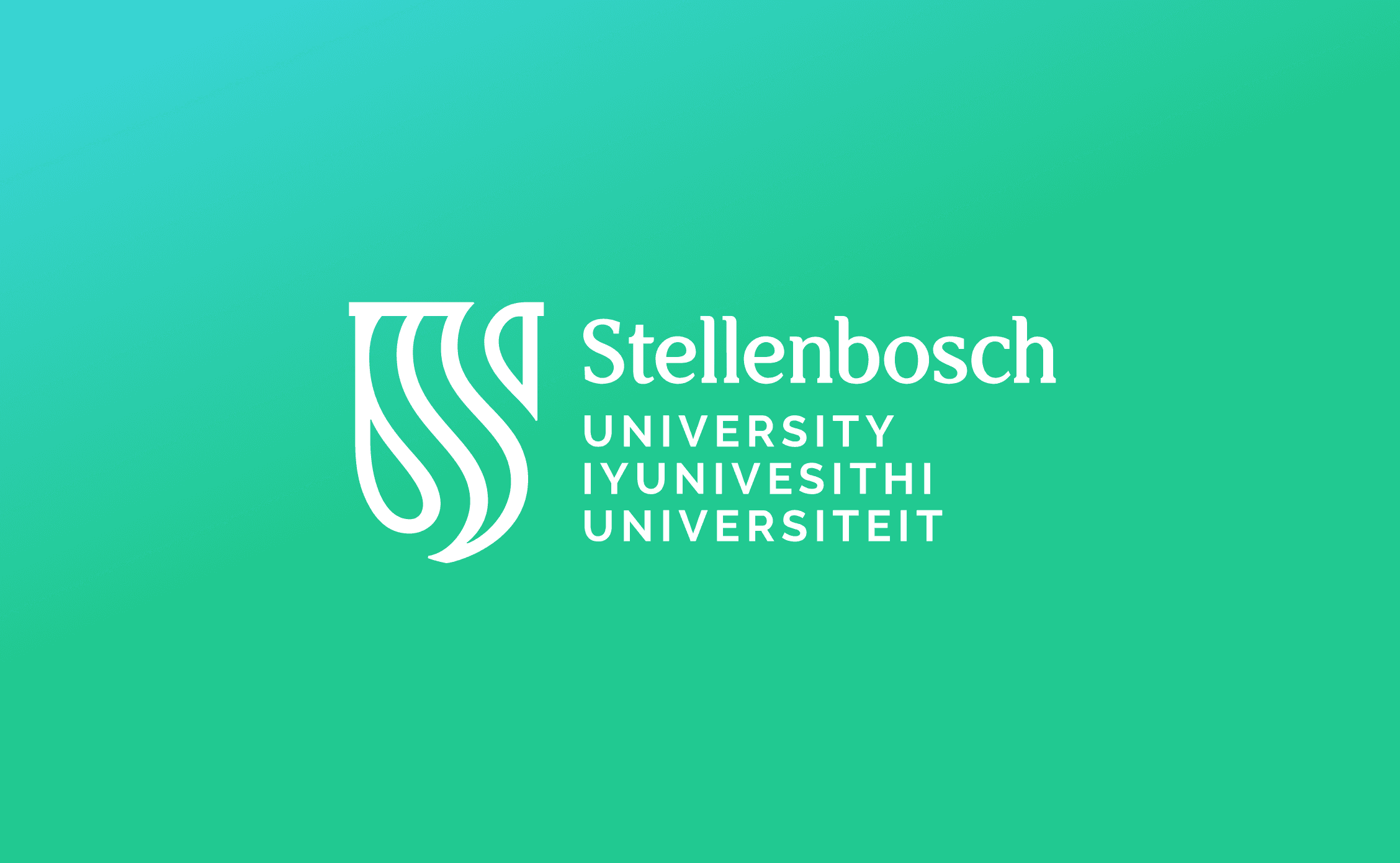 Stellenbosch University and the Path to a Master’s Abroad